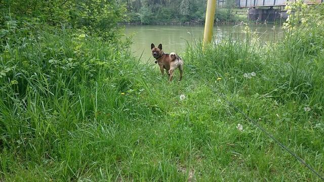Hast du es auch gesehen????