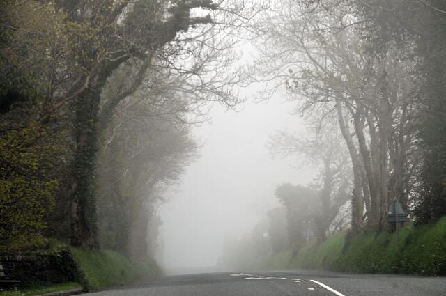 Auch Nebelwetter hat seine Reize: Straße auf der Isle of Man.
