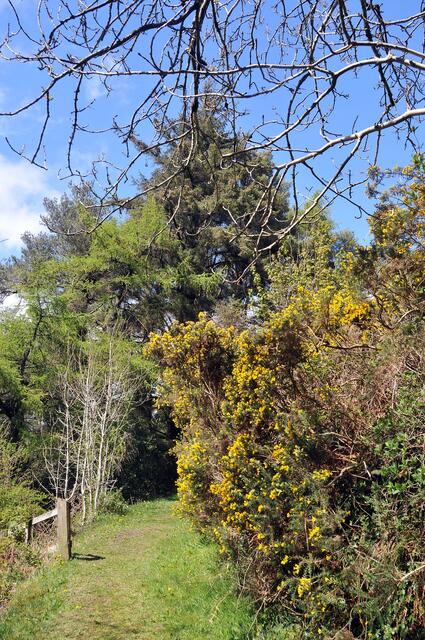 Landschaft auf der Isle of Man.