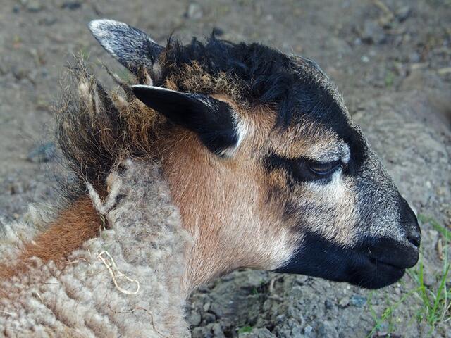 also dann: auf den nächsten Besuch freue ich mich