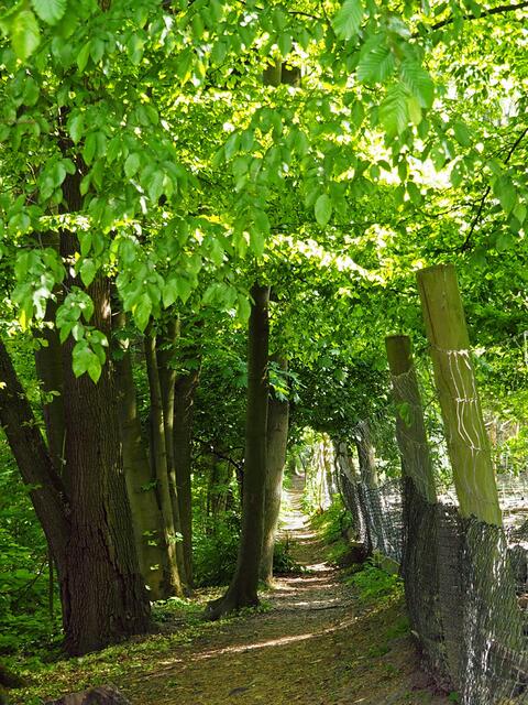 am Gehege entlang spazieren