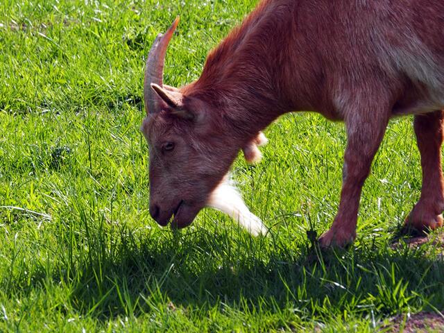 als würde sie lachen