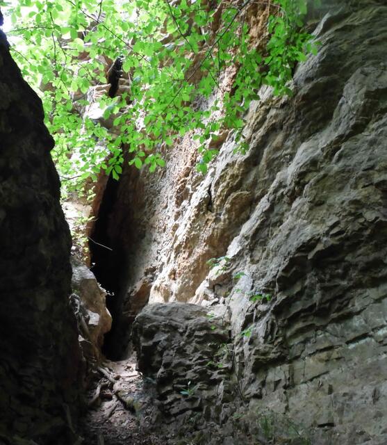Unter dem Lokal Paschenburg in der Wolfsschlucht befindet sich die Paschenberghöhle, auch Männekenloch genannt.
