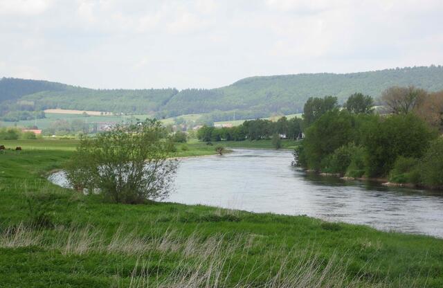 Träge strömt die Weser dahin.