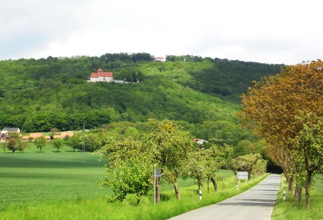 Zum Schluss wird`s anstrengend. Fast 300 Meter müssen wir zum Ausgangspunkt über den Nesselberg auf den Paschenberg hinauf. Es war eine herrliche Tour.