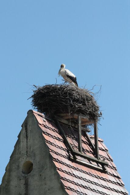 Hoch oben...