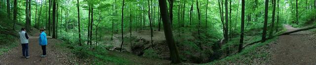 Panoramafoto
