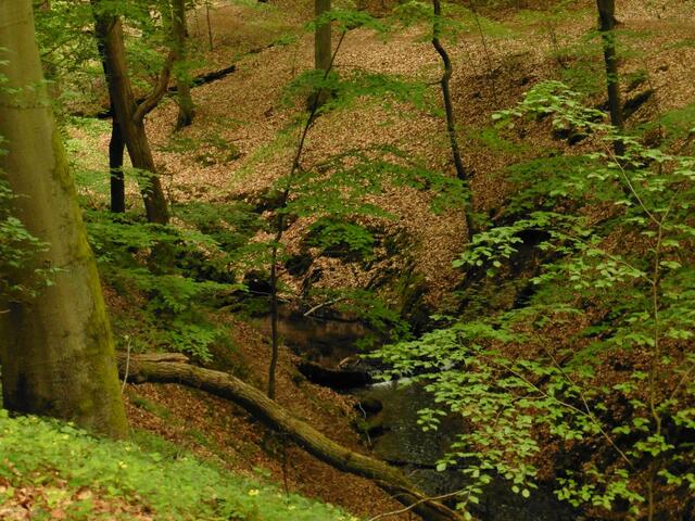 Binenbach