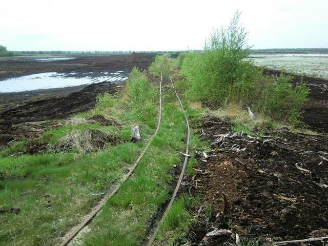Torfgewinnung im Großen Moor bei Darlaten.
