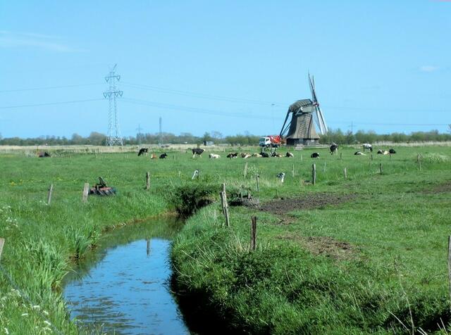 Wasser, Wiesen, Kühe und Mühlen - das ist das Marschland.