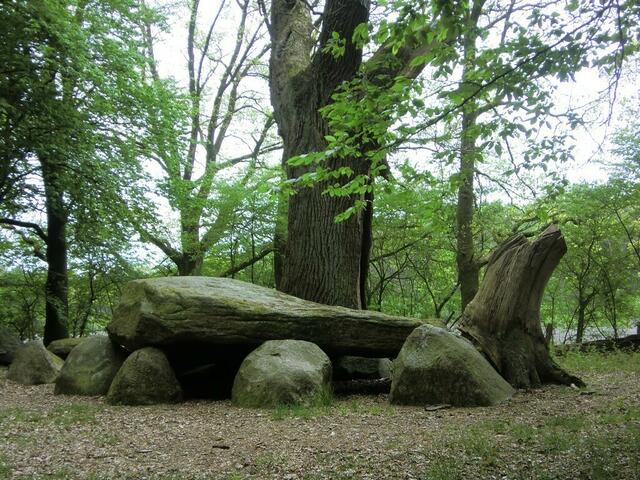 Der Heidenopfertisch ist eines von mehreren Großsteingräbern auf dieser Tour.