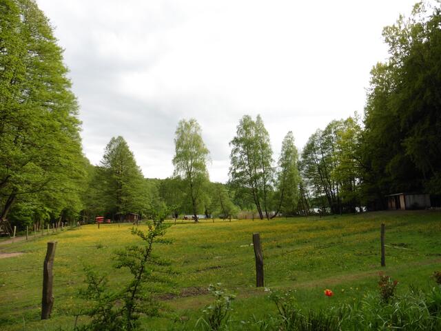 Blick über die Eselwiese.