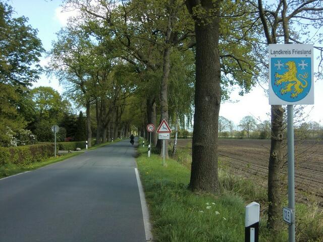 Schöne Alleen finden spenden im Landkreis Friesland Schatten und brechen den Wind.