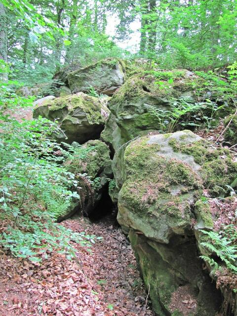 Das Felsenmeer - ein Trümmerfeld aus hunderten mächtiger Steinbrocken