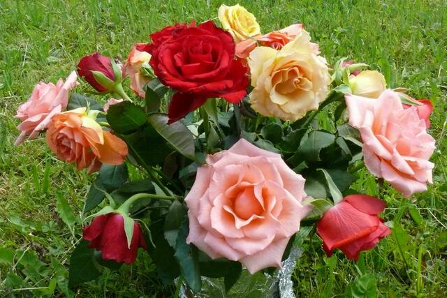 Auch Blumen gab´s zum Jubiläum, von einer Gratulantin!