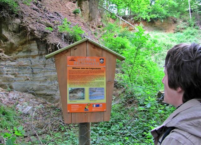 Eine stillgelegte Sandgrube gibt uns einen Einblick in Millionen Jahre Erdgeschichte.