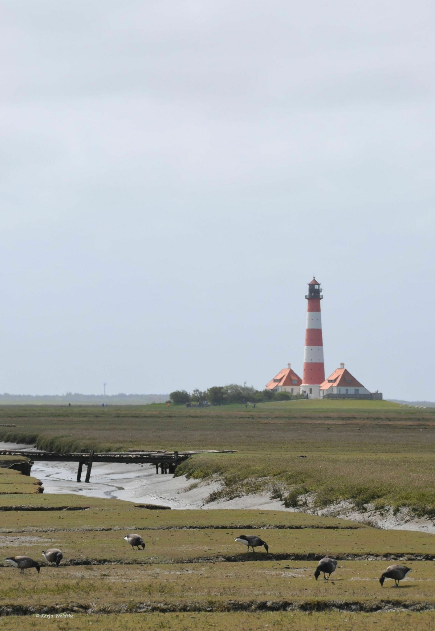 Eiderstedt in drei Tagen: Gegen den Wind zum Westerhever Leuchtturm ...