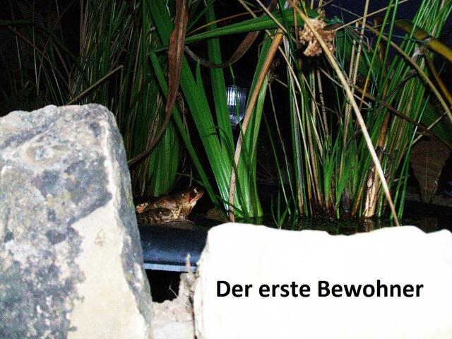 Da freut man sich, wenn man einen solchen Gast bei sich wohnen hat.