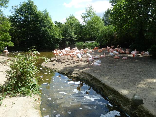 Gesehen von der Flußfahrt.