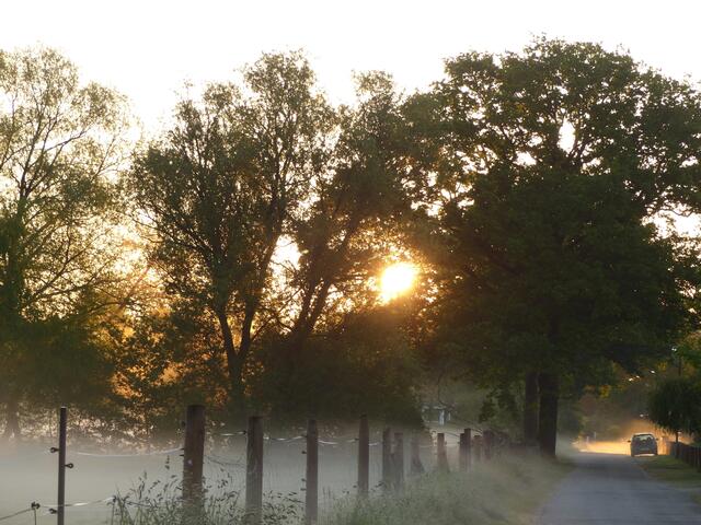 Tageserwachen am Pöttcherteich. Jeder Tag zeigt mit dem Aufgang der Sonne ein anderes Gesicht.