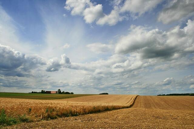 Sommerwolken