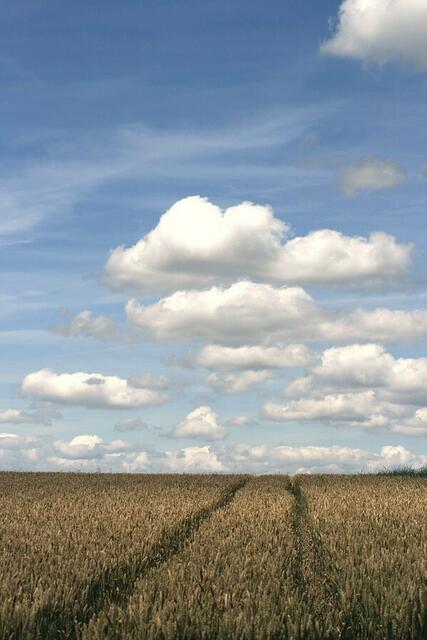 Erntehimmel