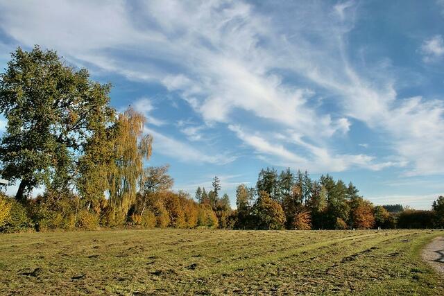 letzter Schnitt unterm Herbsthimmel