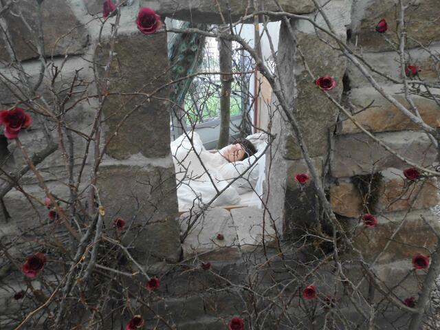 Schneewittchen hinter einer Rosen-Mauer