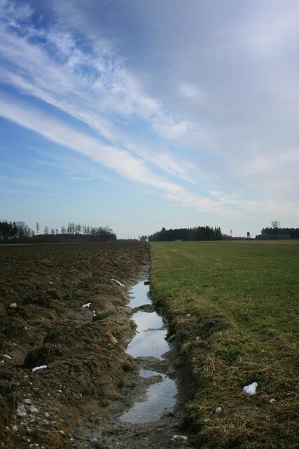 Unterm Frühlingshimmel