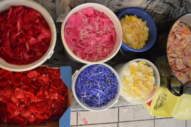 viele bunte Blütenblätter werden benötigt