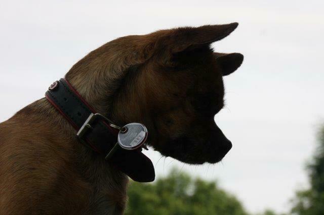 ... und jetzt??? Wars das schon???