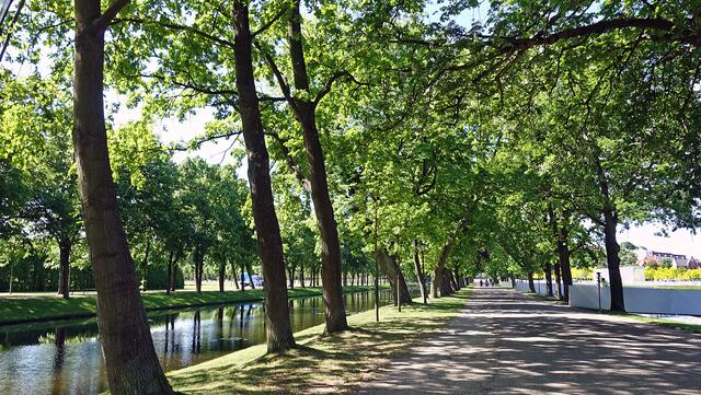 Neben dem Kanal des Schlossgartens führt die Lindenallee zur scheinbar schwimmenden Insel. Foto: Helmut Kuzina