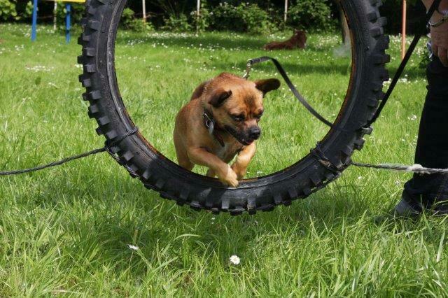 ... das ist doch kein Problem!
