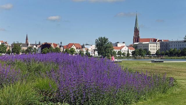Neben der Liegewiese überzieht Katzenminze die hügeligen Gartenbeete. Foto: Helmut Kuzina