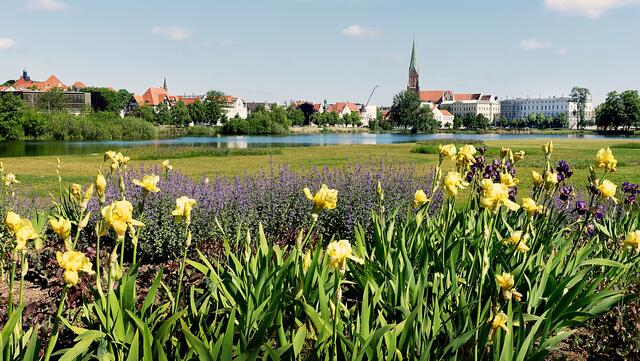 Lilien unterstreichen das reizvolle Erscheinungsbild der Sommerwiese mit der Aussicht auf die Altstadt. Foto: Helmut Kuzina