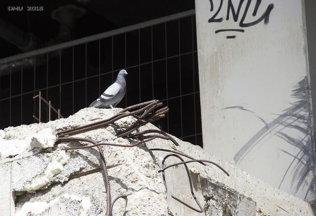 Es gibt doch noch Leben hier ... ;-)