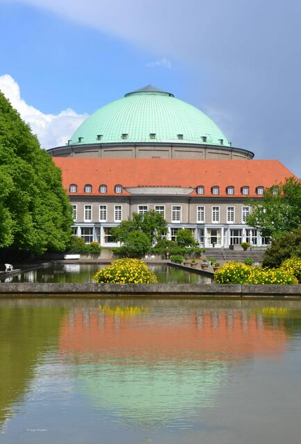 Stadtpark Hannover - Hinter der Stadthalle (Foto: Katja Woidtke)