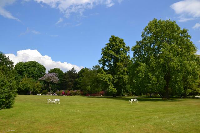 Weite Rasenflächen laden im Stadtpark zu einem Sonnenbad ein (Foto: Katja Woidtke)