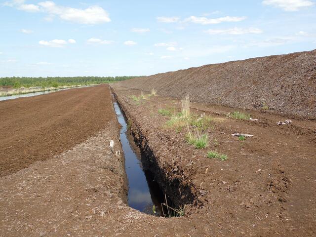 Bei Mardorf wird der Torf noch industriell abgebaut. Entwässerungsgräben legen den Moorboden trocken. Der Torf wird zu langen Wällen aufgeschichtet. Es ist eine trostlose, tote Landschaft.
