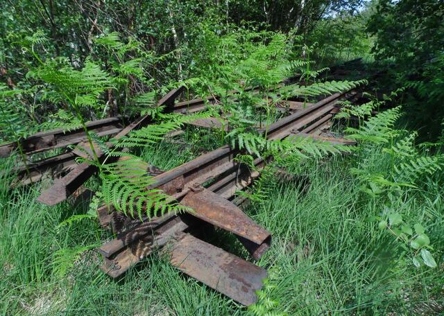 Andernorts wurden sie abgebaut. In Hannover erinnert die Straße Schiffgraben an den Torfabbau. Dort führte einst ein Kanal zum Altwarmbüchener Moor, über den der Torf auf Kähnen zur Stadt transportiert wurde.