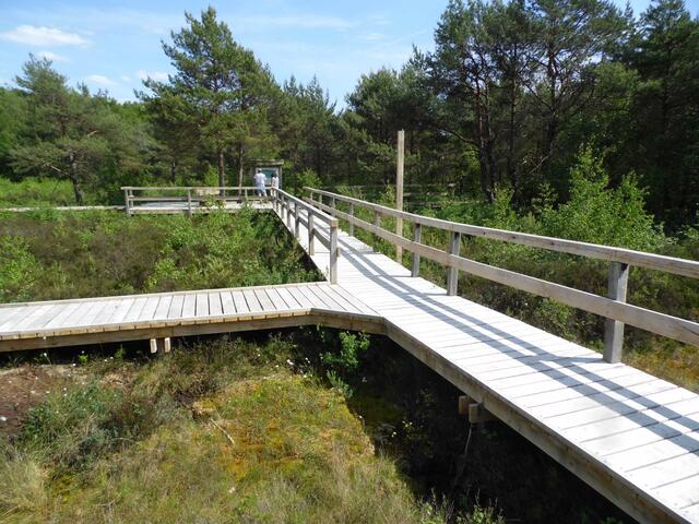 Ein Radweg führt von Steinhude nach Mardorf durch die Moorlandschaft.