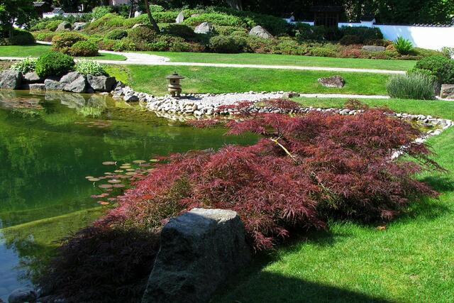 Japanischer Garten – Bad Langensalza | Foto: SCHWARZE-art-PHOTOGRAPHIE