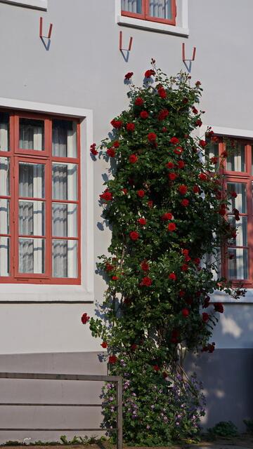 ..das alte Rathaus