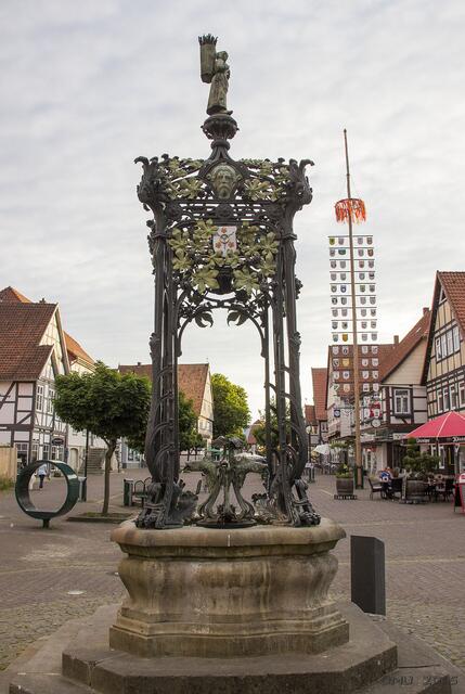 Der Marienbrunnen wurde vom Sanitätsrat Dr. Heinrich Seebohm im Jahre 1900 von der Weltausstellung in Paris erworben und 1903 der Stadt Springe gestiftet. Benannt ist der Brunnen nach Seebohms Ehefrau Marie.