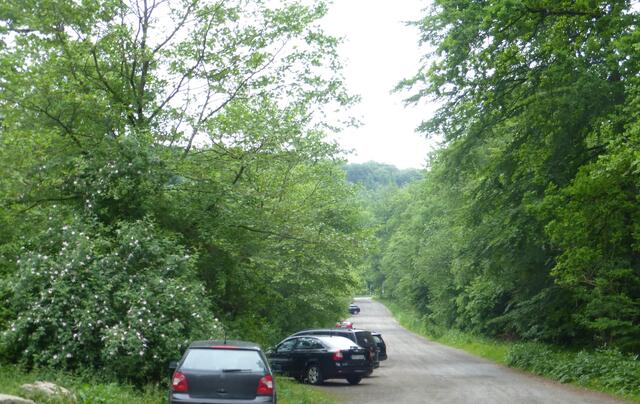 Parkplatz Nienstedter Pass