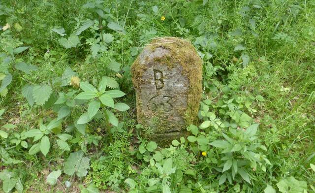 Auf dem Rückweg nach Kirchdorf