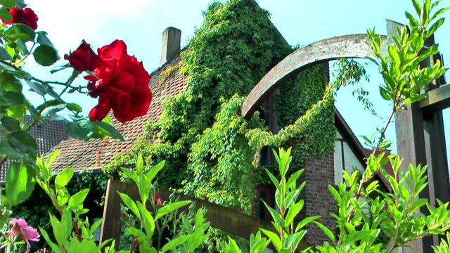 Mit ihrem "Gartenhof" setzte sie Zeichen - Heinke von Löw (†93) - Am 21.6. wird eine Rose nach ihr benannt.