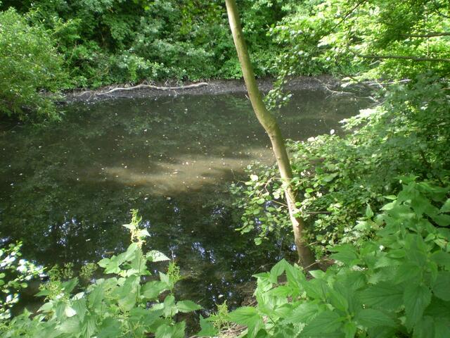 Blick auf die "Bremer Kloake" (s. GOOGLE) am 17. Juni 2015