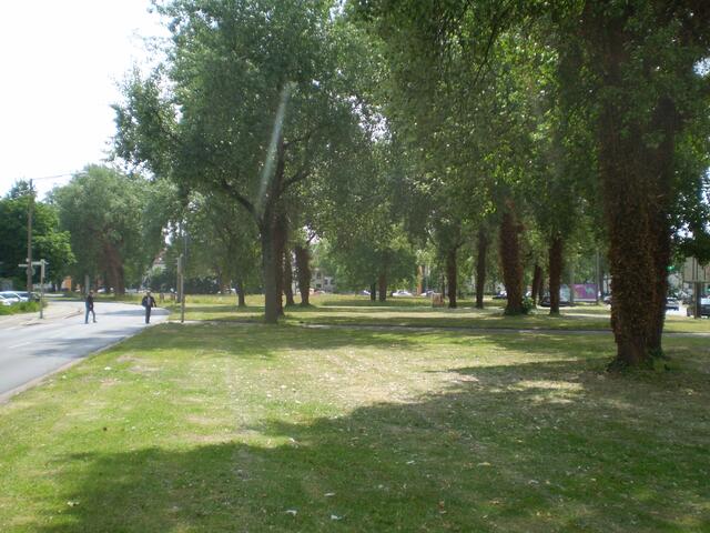 Blick auf den Rembertiring in Bremen am 17. Juni 2015