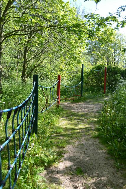 Niedrigseilgarten auf dem Waldlehrpfad im Katinger Watt (Foto: Katja Woidtke)